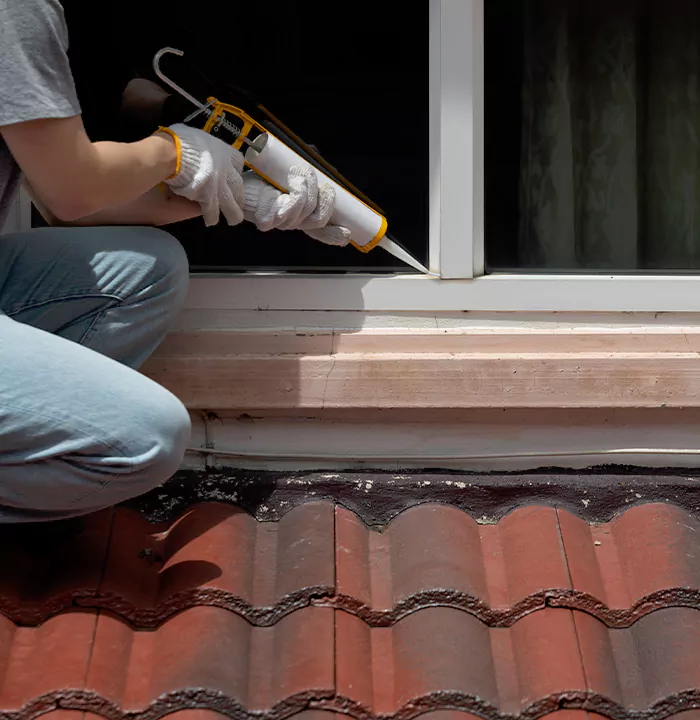 Roof Window Services in Palm Coast, Florida
