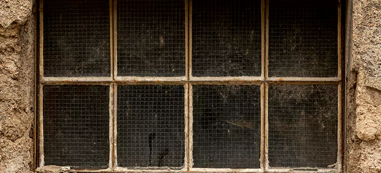 Traditional Double Front Doors in Palm Coast, FL
