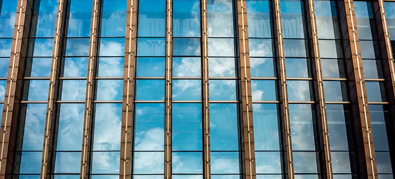 Professional Window Tinting Services in Palm Coast, FL