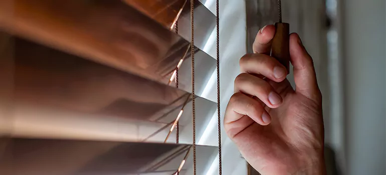 Double Roller Blinds in Palm Coast, FL