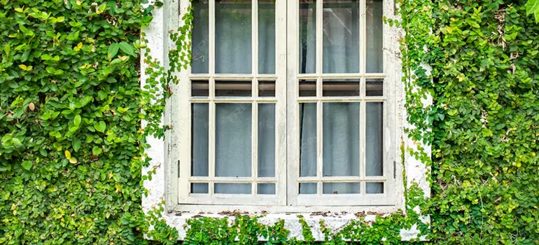 Garden Window Repair Near Me in Palm Coast, FL