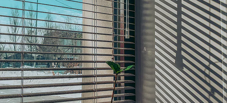 Commercial Window Blinds in Palm Coast, FL