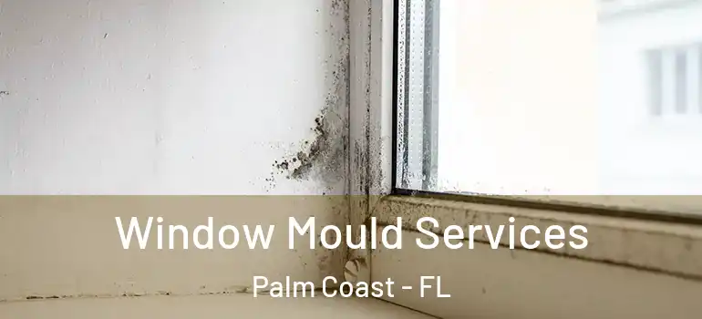 Window Mould Services Palm Coast - FL